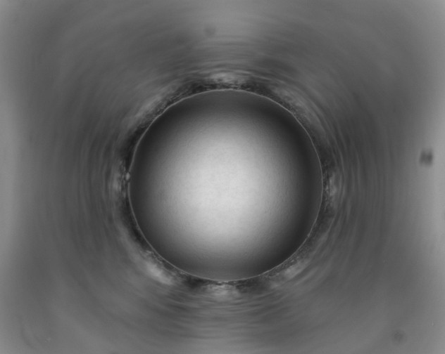 X0000091990424200709201451