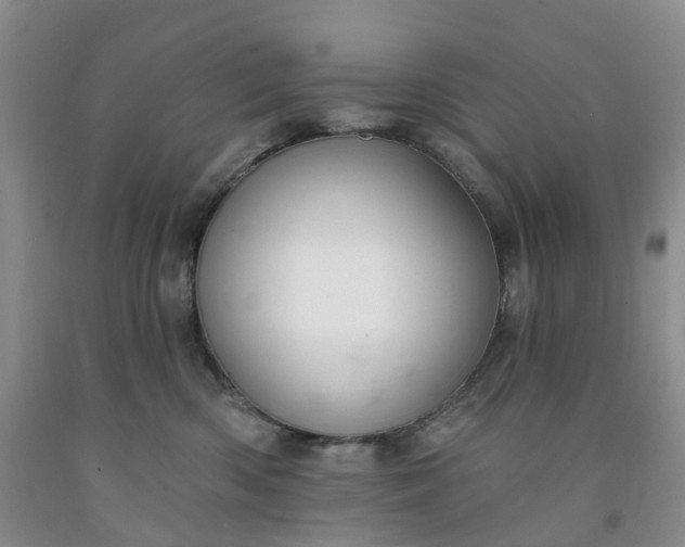 X0000091990426200709201451