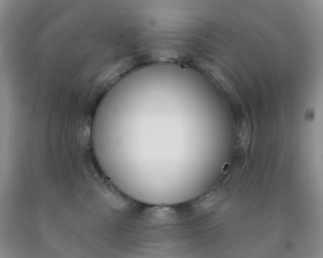 X0000091990427200709201451