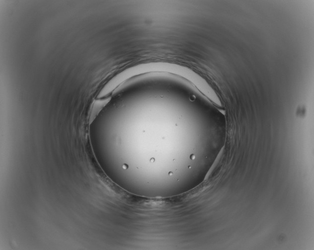 X0000091990428200709201451