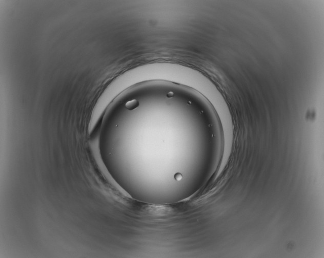 X0000091990429200709201451