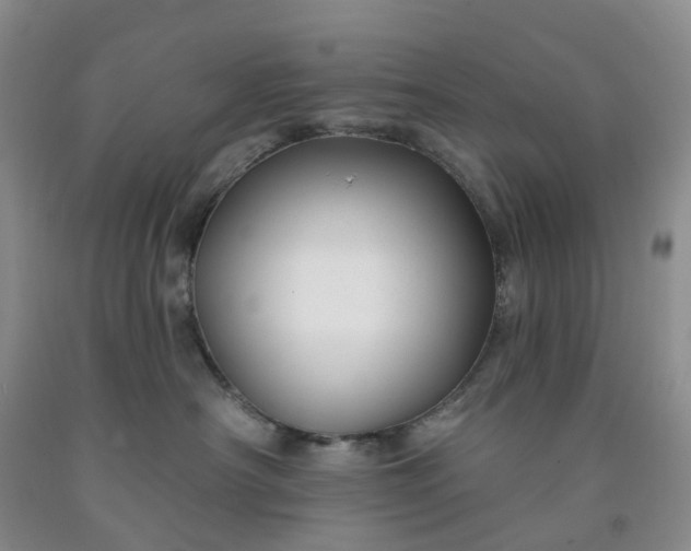 X0000091990430200709201451
