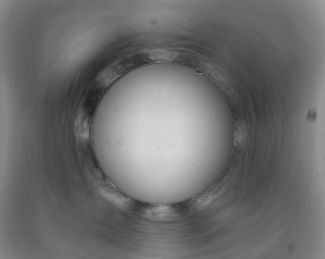 X0000091990431200709201451