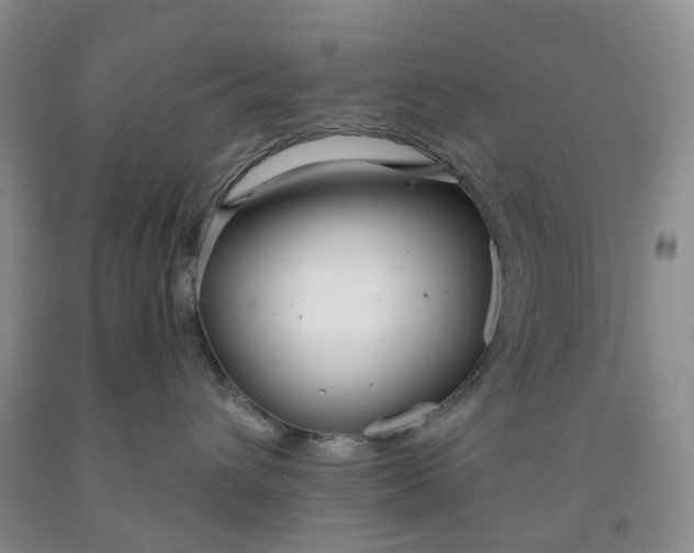 X0000091990432200709201451