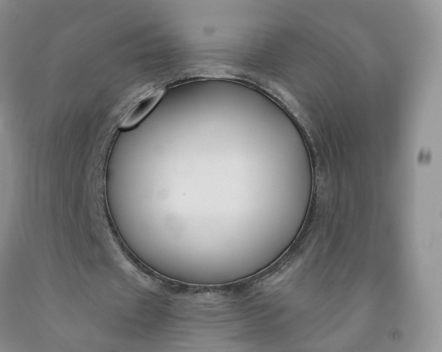 X0000091990433200709201450