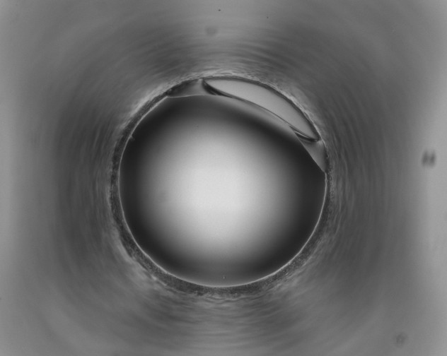 X0000091990434200709201450