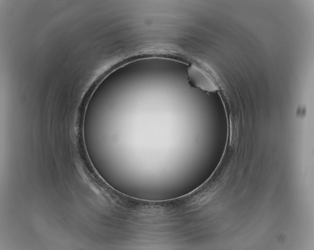 X0000091990435200709201450