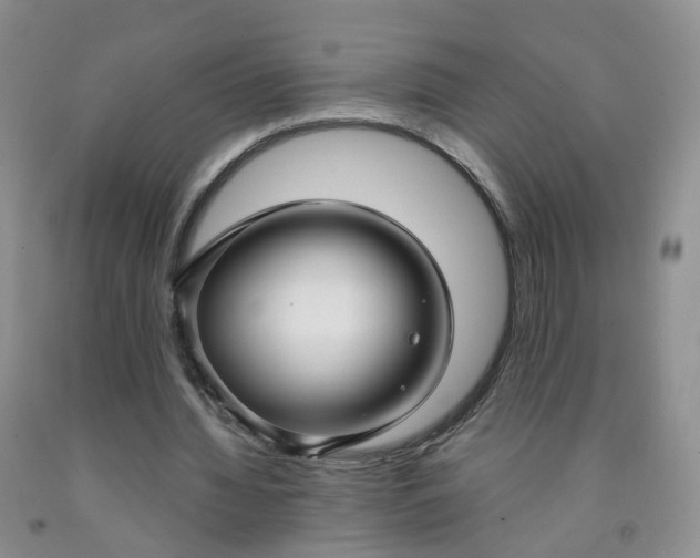 X0000091990436200709201450
