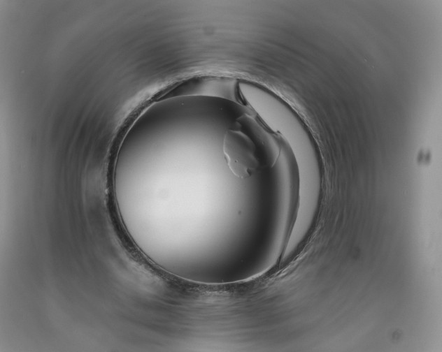 X0000091990438200709201450