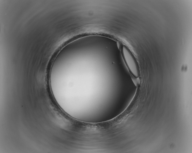 X0000091990439200709201450