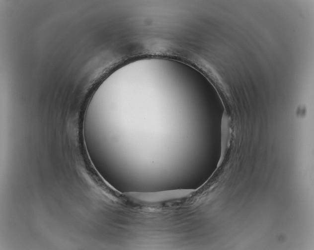 X0000091990442200709201451