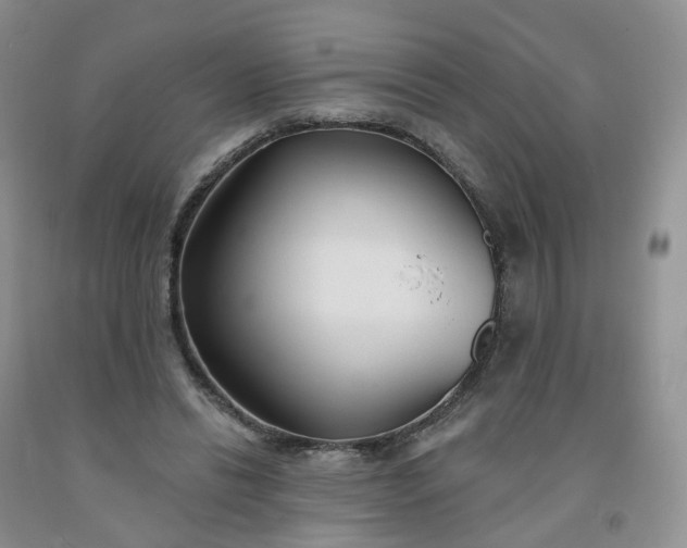 X0000091990446200709201451
