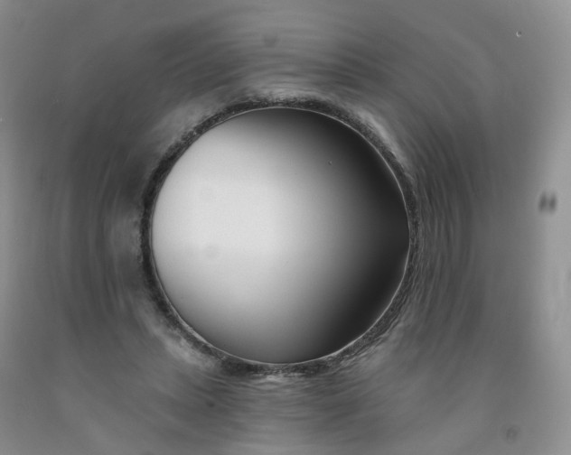 X0000091990447200709201451