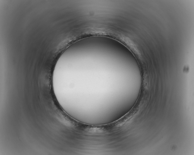 X0000091990449200709201451