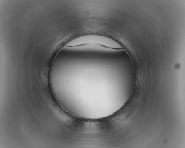 X0000091990450200709201451