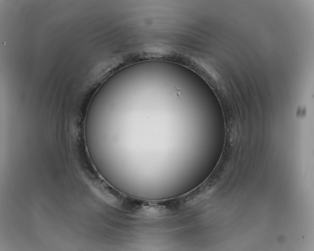 X0000091990455200709201451