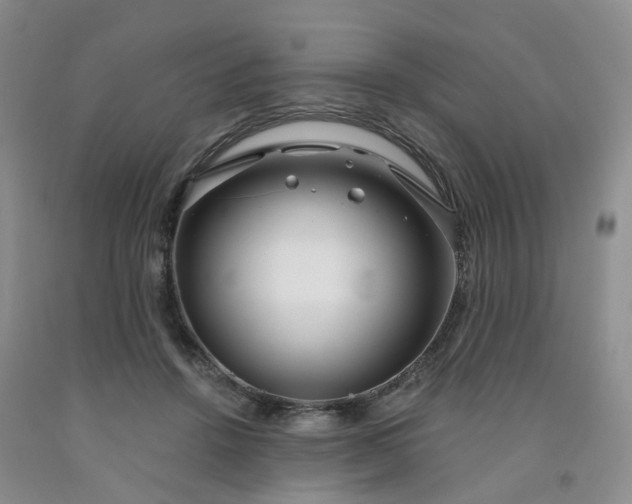 X0000091990456200709201451