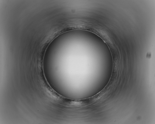 X0000091990457200709201451