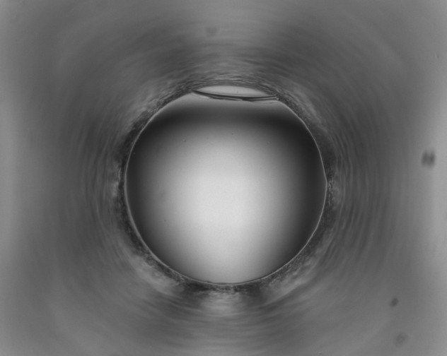 X0000091990458200709201451