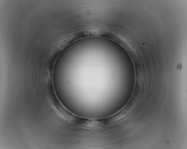 X0000091990459200709201451