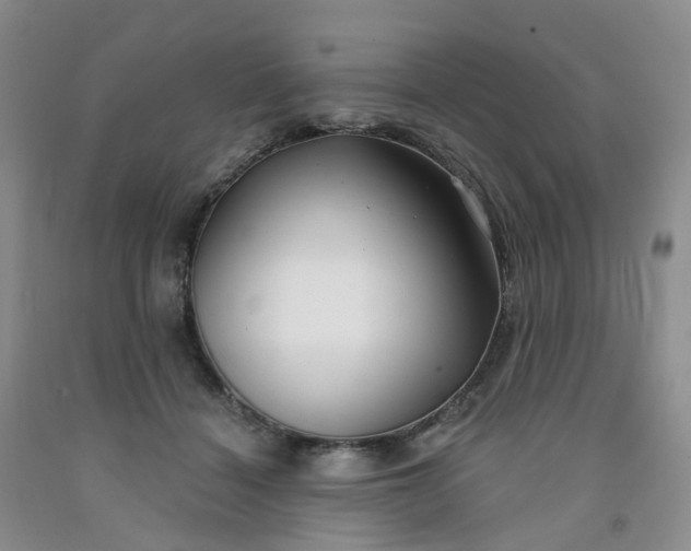 X0000091990460200709201451