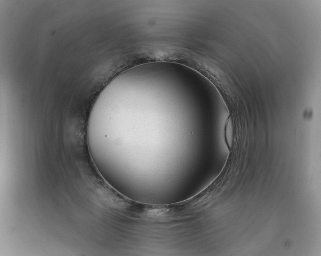 X0000091990461200709201451