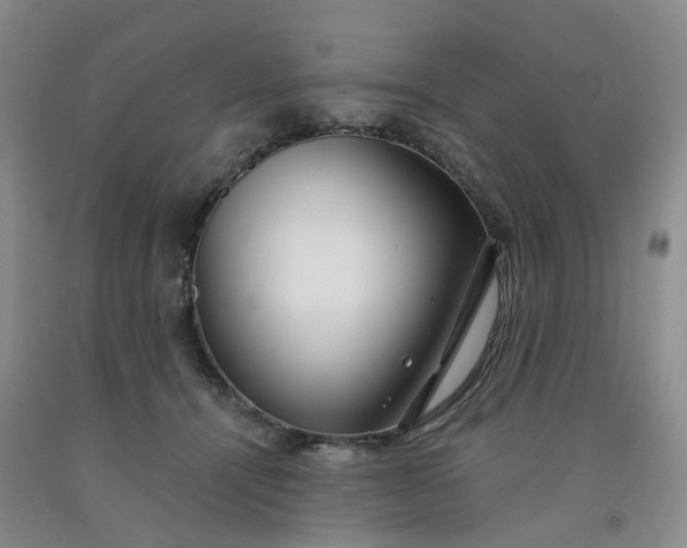 X0000091990464200709201451