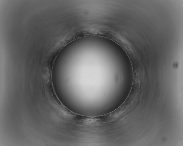 X0000091990465200709201451
