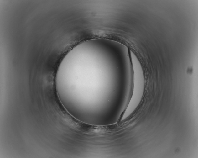 X0000091990466200709201451