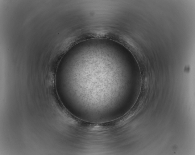 X0000091990467200709201451
