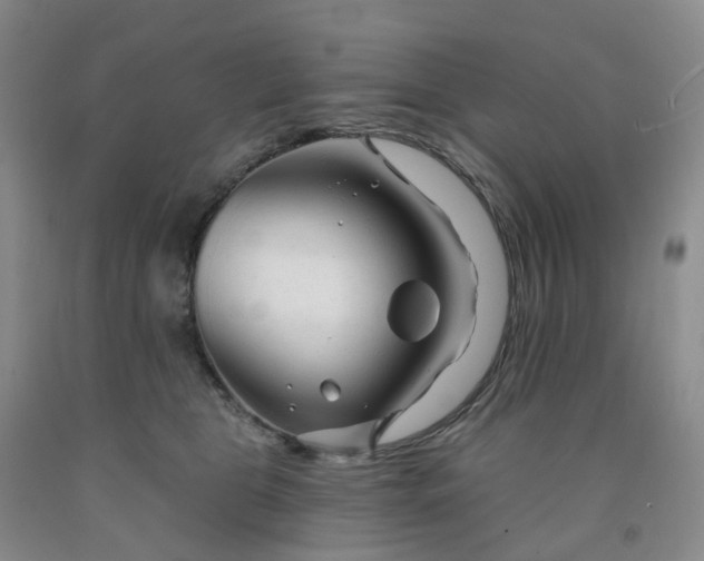 X0000091990469200709201451