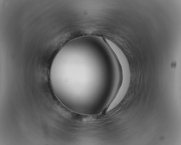 X0000091990470200709201451