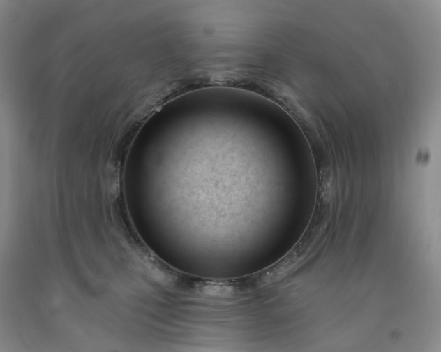 X0000091990471200709201451