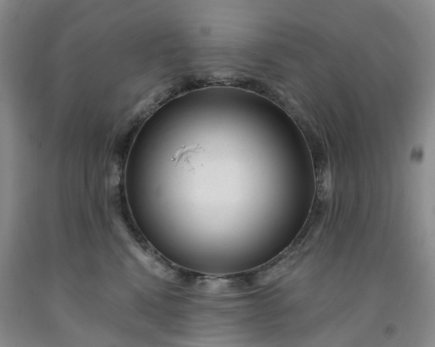 X0000091990472200709201451