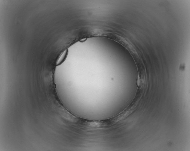 X0000091990473200709201451