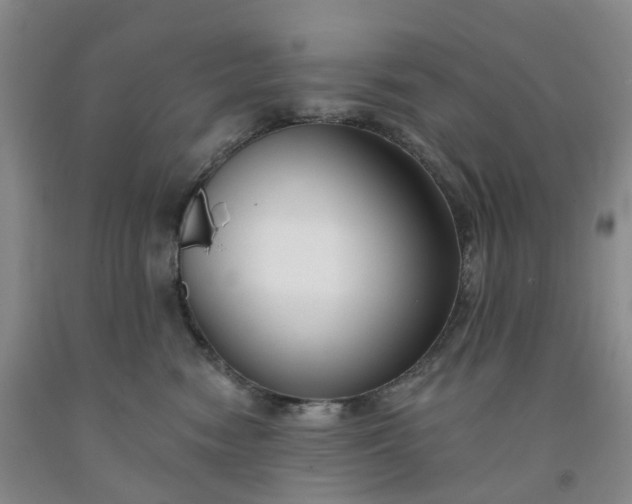 X0000091990474200709201451