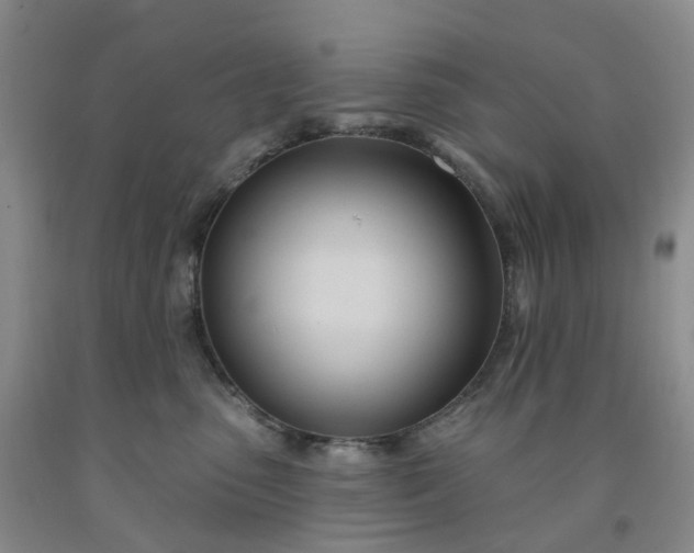 X0000091990475200709201451