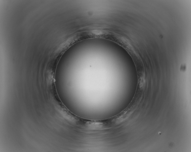 X0000091990476200709201451