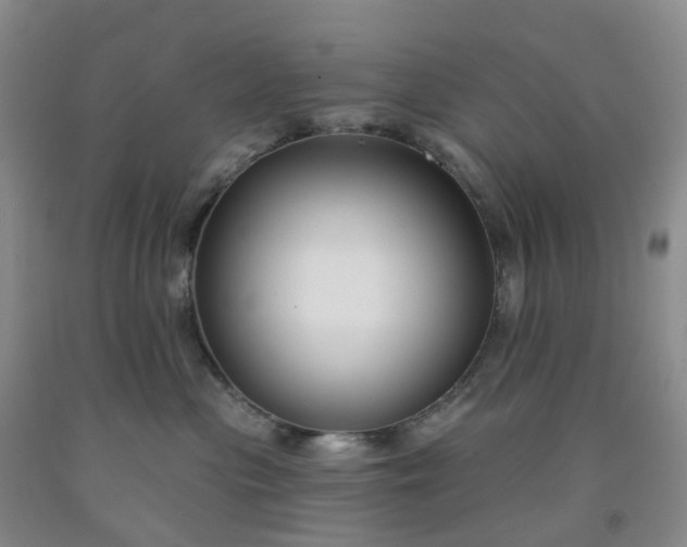 X0000091990477200709201451