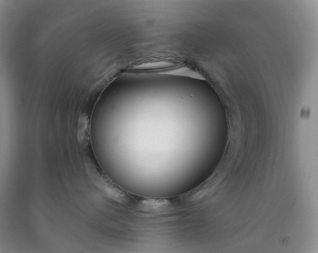 X0000091990480200709201451