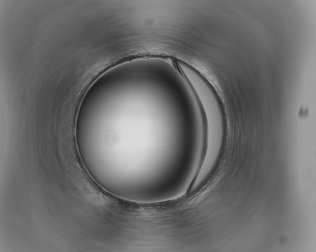 X0000091990481200709201450