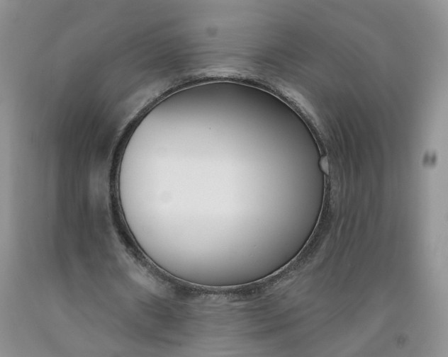 X0000091990482200709201450