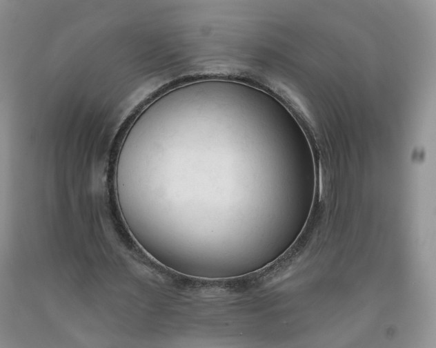 X0000091990483200709201450