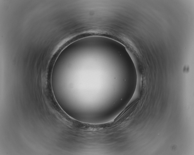 X0000091990484200709201450
