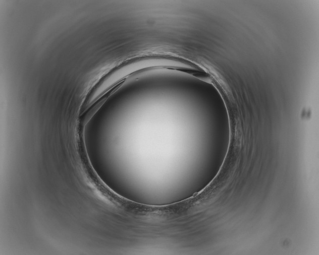 X0000091990485200709201450