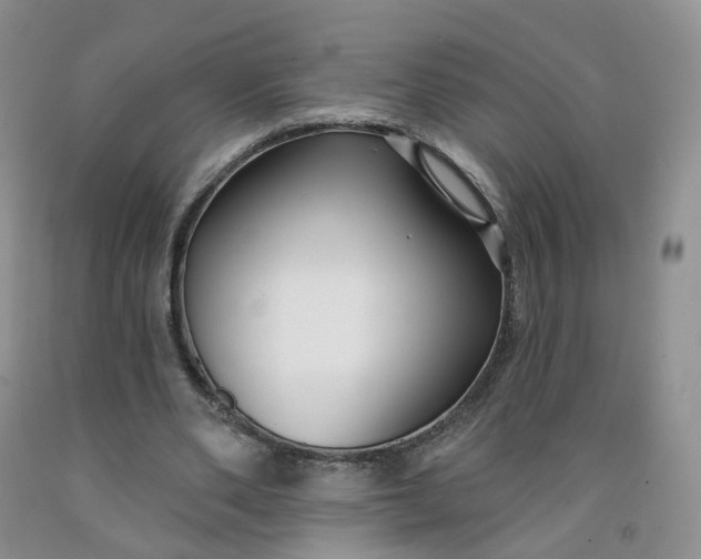 X0000091990486200709201450