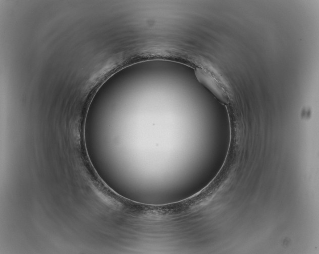 X0000091990489200709201450