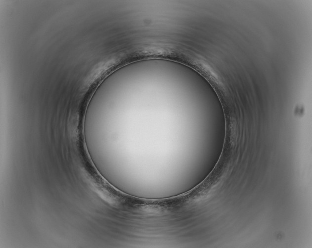 X0000091990490200709201450