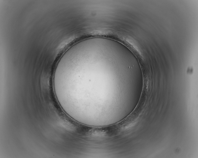 X0000091990491200709201450