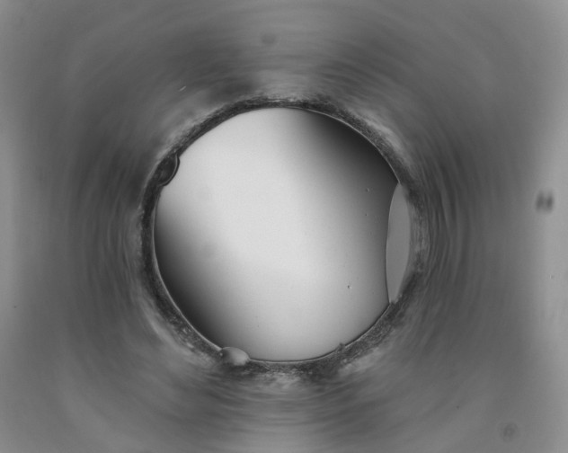 X0000091990492200709201450